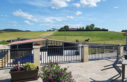 Pura Agro Vida - Foto 17