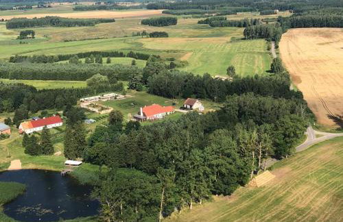 Srokowski Dwór 1 - Leśny Zakątek - Prywatna Sauna! - Foto 29