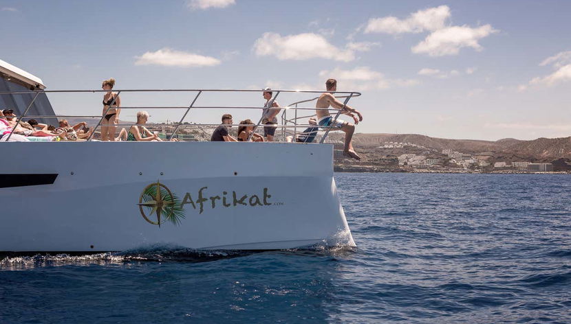 Catamaran Cruise from Puerto Rico - Photo 2