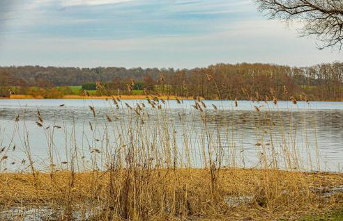 Awesome Home In Krems Iiwarderbrück - Foto 9