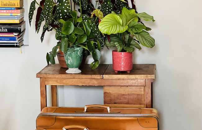 Accademia 39 - Foto 4