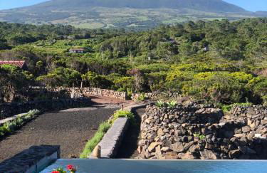 Adega do Fogo - Photo 20