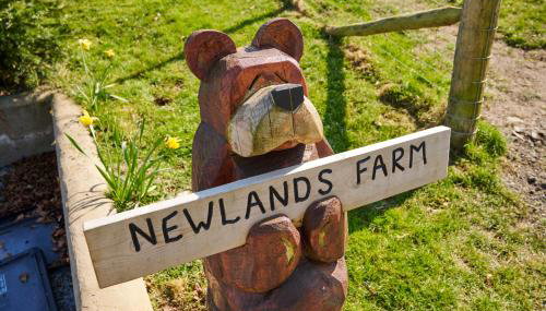 Newlands Farm Stables - Foto 4, Garden