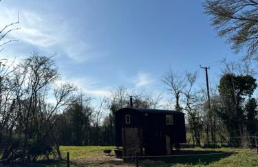 'Russet' Hut on fruit farm - Foto 8