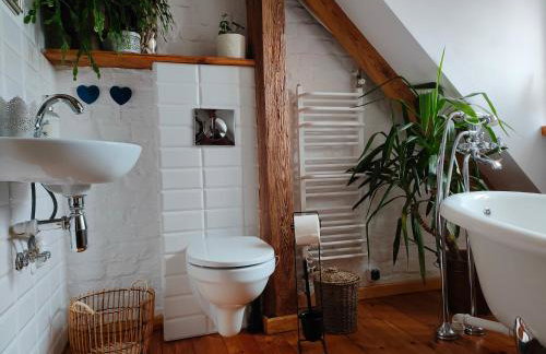 W starej szkole - agroturystyka - Foto 30