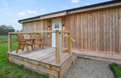 Llwynog Lodge - Foto 14