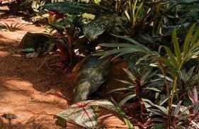 Casa na Vila de Abraão - Foto 30