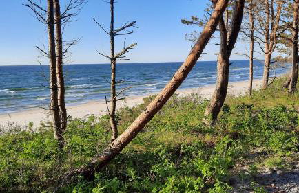 Apartament DeLux Marina - Foto 17