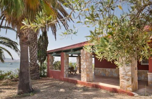 Vivero El Suso - Foto 24