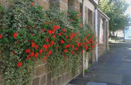 Beautiful village home close to all attractions - Foto 31