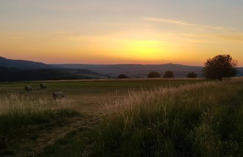 Jabłoniowa Chatka - Foto 18