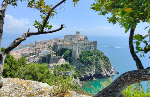 The Sorabellas - Foto 72