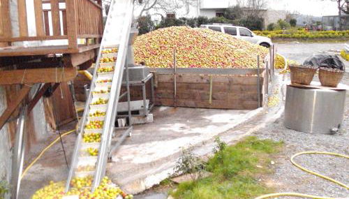 Casa Rural Arratzain - Foto 4