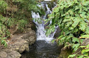 Vistalinda Farmhouse - Foto 28