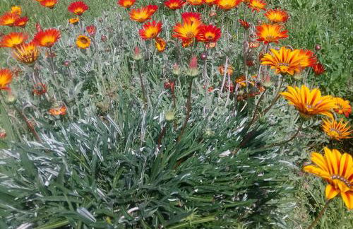 Casa Virginia - Foto 33