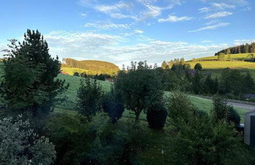 Weideblick, traumhaft wohnen im Schwarzwald - Foto 53