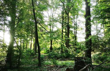 Gästehaus Maria Rast - Foto 70