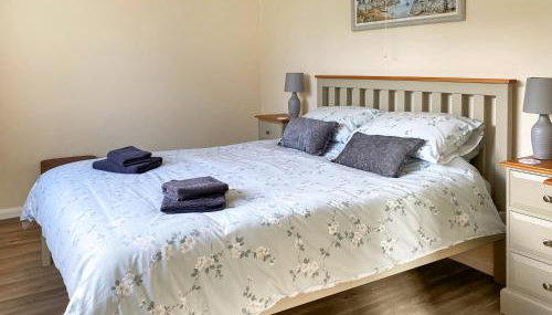 Ivy - Uk47373 - Foto 5