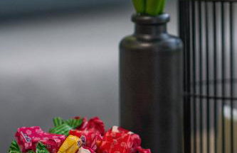 Apartman EVA - Dugo Selo / Zagreb - Foto 41