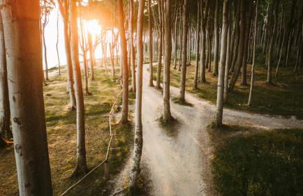 Ferienwohnung Zum Kliff - Foto 29