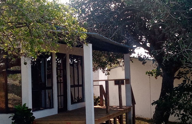 Restaurante Calor Tropical - Photo 10