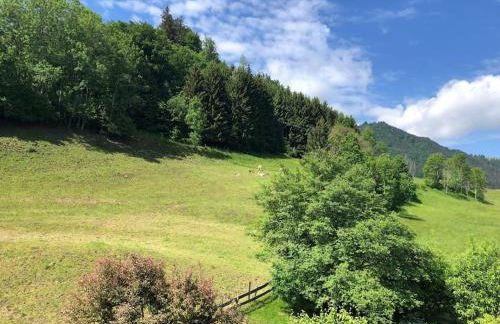 Nagelfluh Hüs - Foto 33