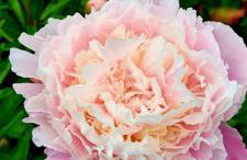 All Senses Ferienwohnung - Foto 21