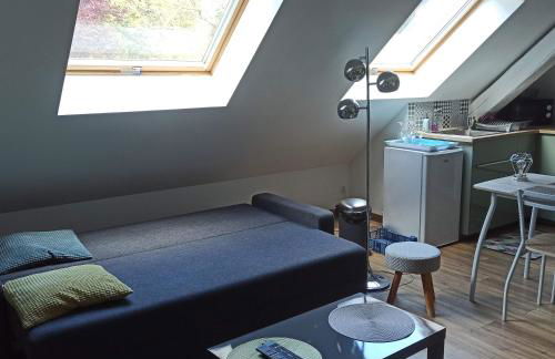 Joli gîte F2 indépendant avec jardin privé - Foto 24