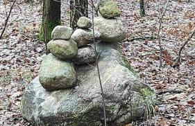 Dom za wydmą - Foto 72