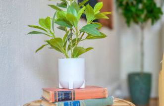 Historic 1Bdrm - Parking - Walk to Restaurants & Westport! - Photo 15