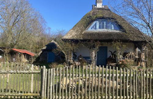 Ferienhaus zum Sonnenblick - Foto 36