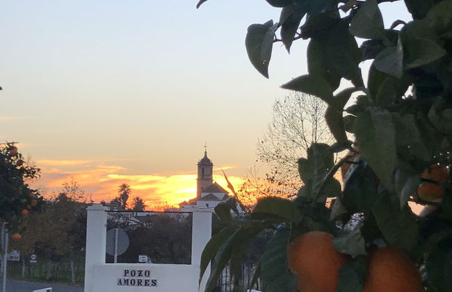 Pozo Amores - Foto 24