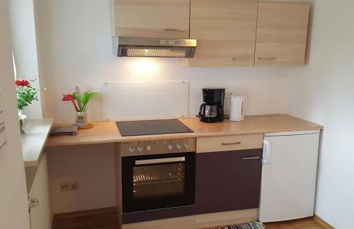 Ferienwohnungen Hammerstiel - Foto 13