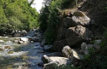 La Louronnaise - Photo 32