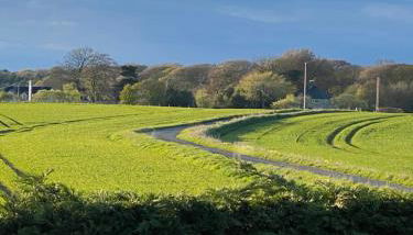 WHITEHILL STABLES - Foto 3