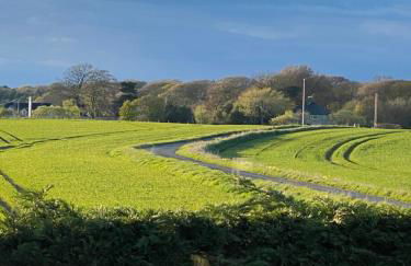 WHITEHILL STABLES - Foto 3