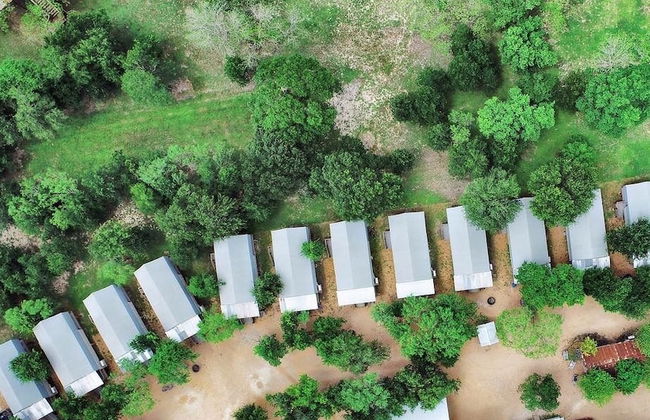 20 Son's Geronimo - Birdhouse Cabin - Photo 73