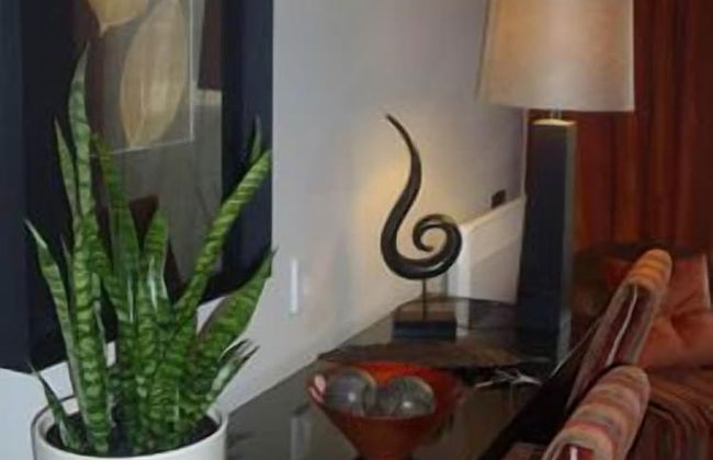 Terra Vive Luxury Suites & Apartments - Foto 23