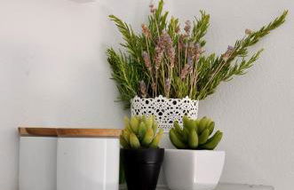 Casa18.55 - Time with history - Foto 25