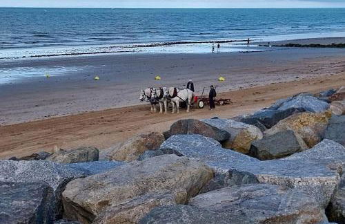 studio FACE MER 85270 Saint Hilaire de Riez - Foto 12