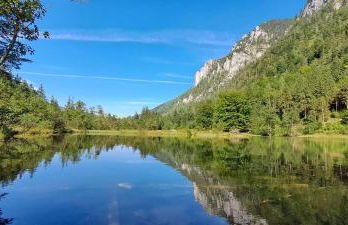 Lärche 2 - Chiemgaukarte inklusive- - Foto 17