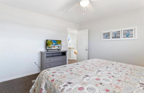 CAC-21A - Turtle - Photo 25