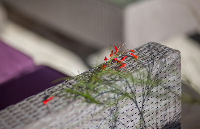 Villa Tres Chic - Foto 39