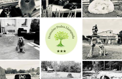 Domaine Pedra Llampada Gîtes Montagne - Photo 17