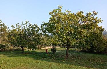 Apartman Biba - Foto 7