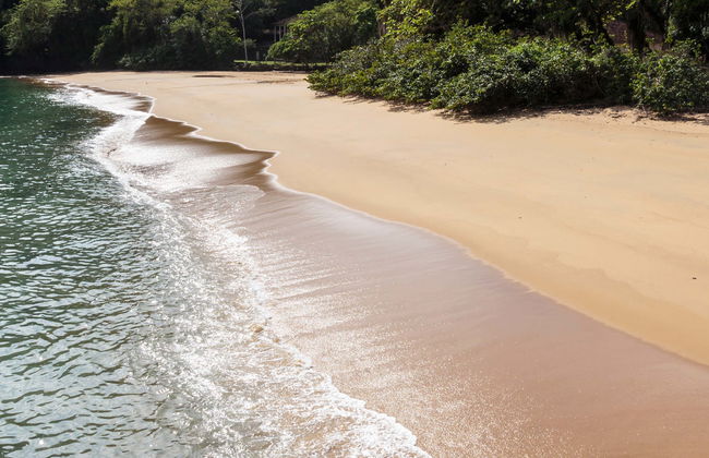 Day Trip to Anchieta Island - Photo 1