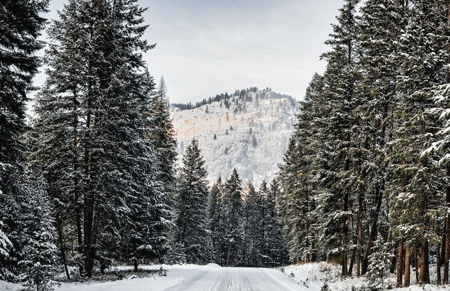 Barefoot Villas Cabin 2 Moose w/ Hot Tub - Photo 24