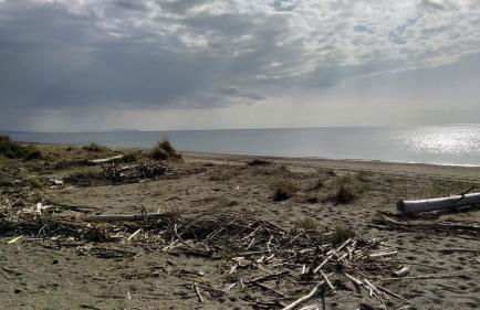 Lucas House - Foto 25