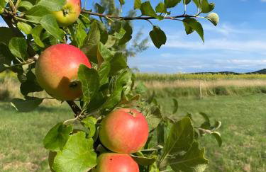 Time out in the Wiehengebirge - Foto 44