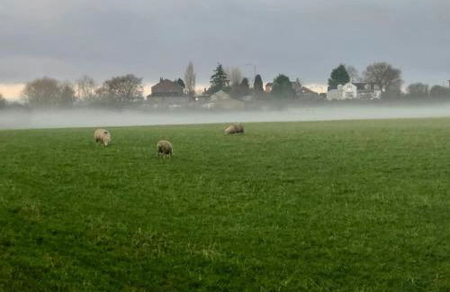 Springwood farm - Foto 16